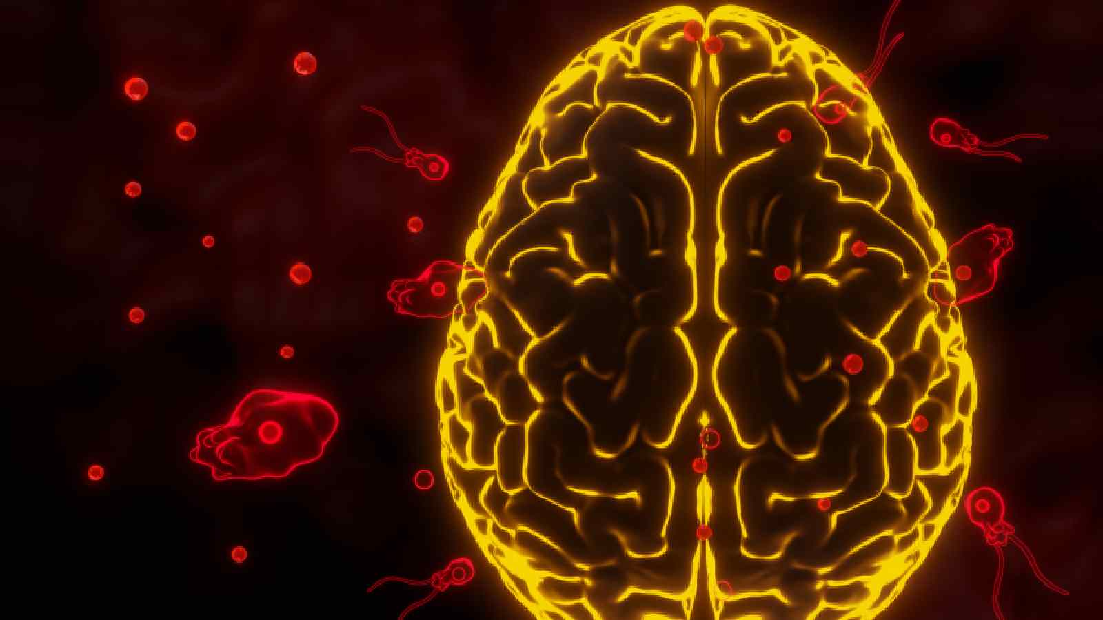 Brain-eating amoeba: Know all about the rare disease that killed a 15-year-old boy