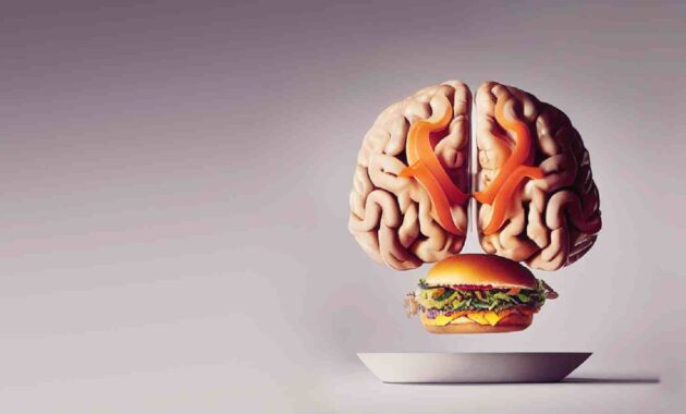 World Brain Day: Know how obesity affects brain health