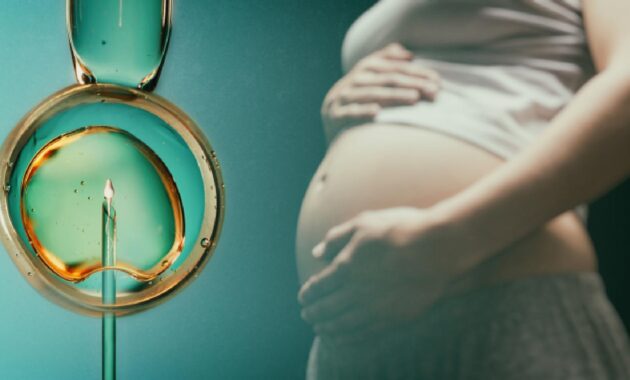 Gut health and IVF treatment: Find out the link