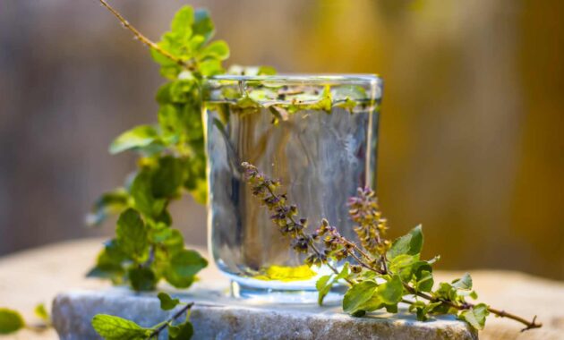 Tulsi water: 8 health benefits of drinking it every day