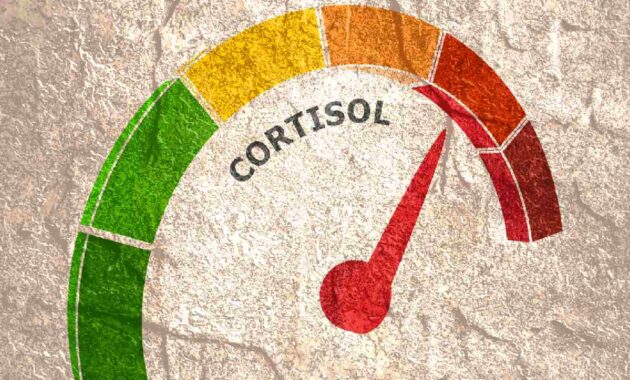 How to reduce cortisol level naturally: Top tips