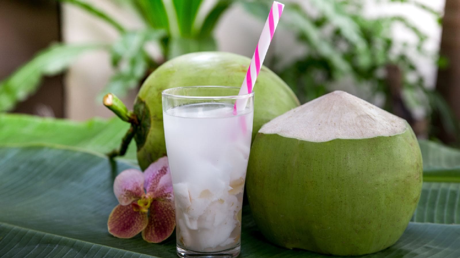 5 Benefits of Drinking Coconut Water