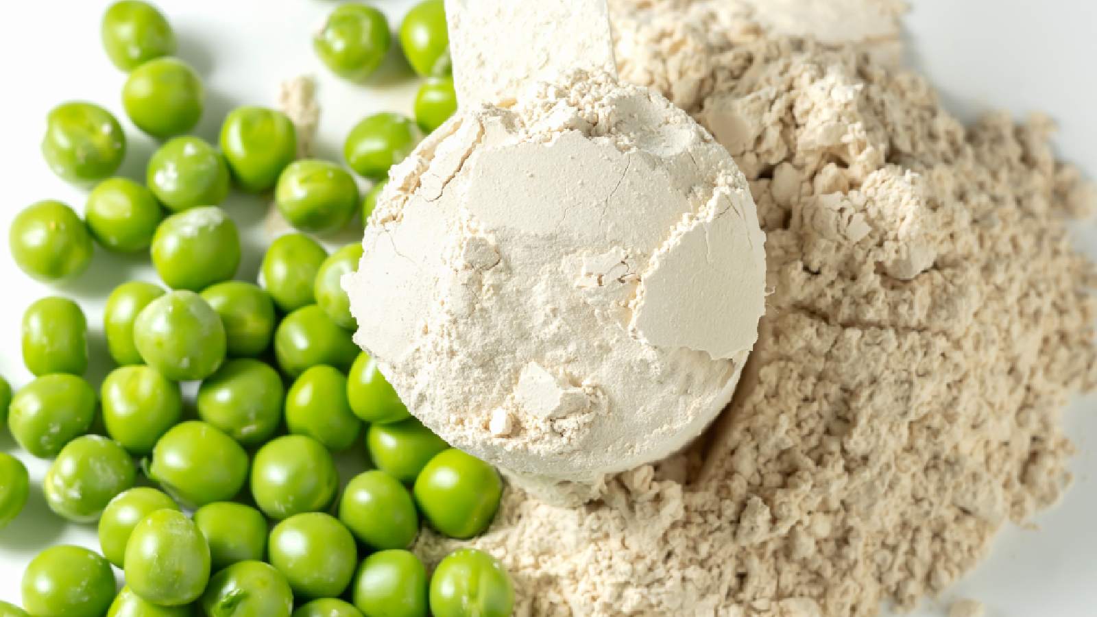 Best Vegan Protein Powders for Muscle Growth and Digestion