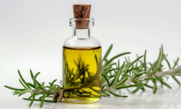 5 best plant based scalp oils for healthy hair