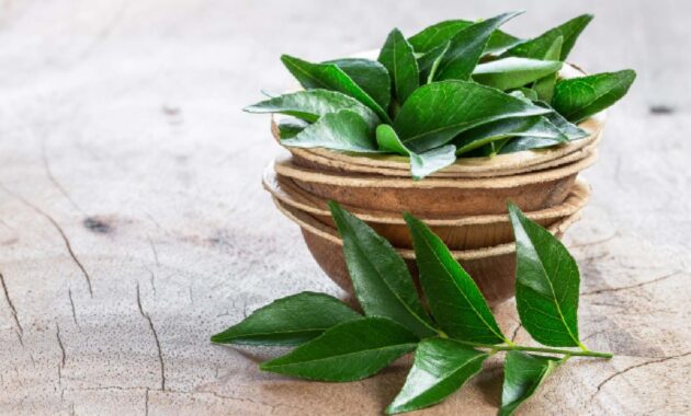 Health benefits of drinking curry leaves water in the morning