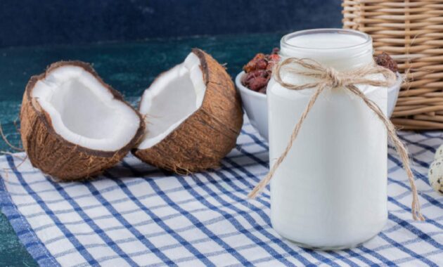 5 best coconut milk brands in India