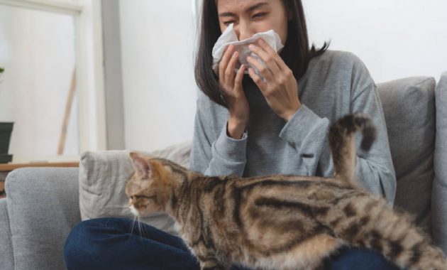 Pet allergy: Symptoms, Causes and How to live with it