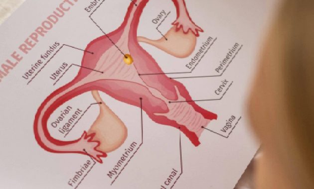 Low estrogen levels: Signs, Symptoms, Diagnosis, Treatment