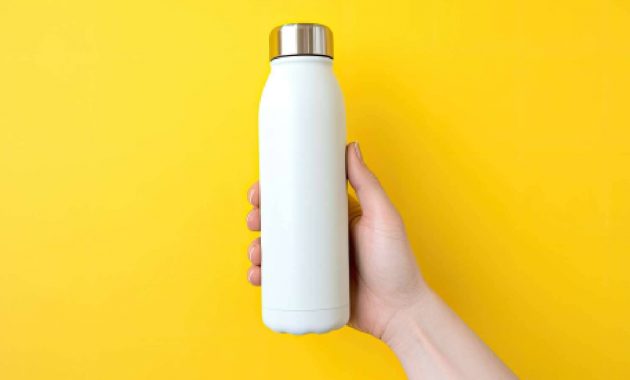 6 best stainless steel water bottle to stay hydrated in summer