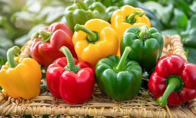 Green, red, and yellow: Know the best bell pepper