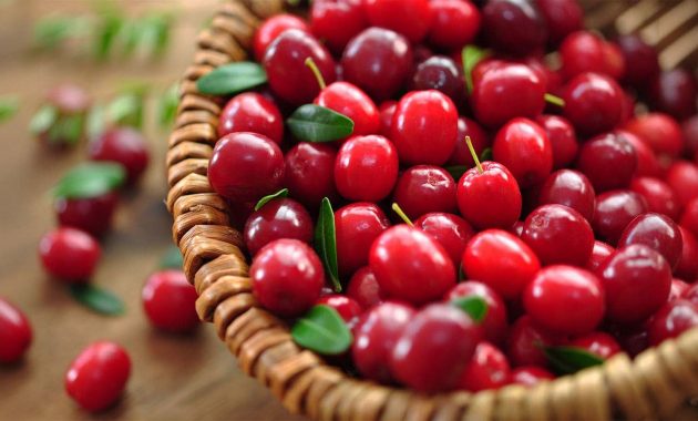 9 health benefits of cranberries and how to eat it