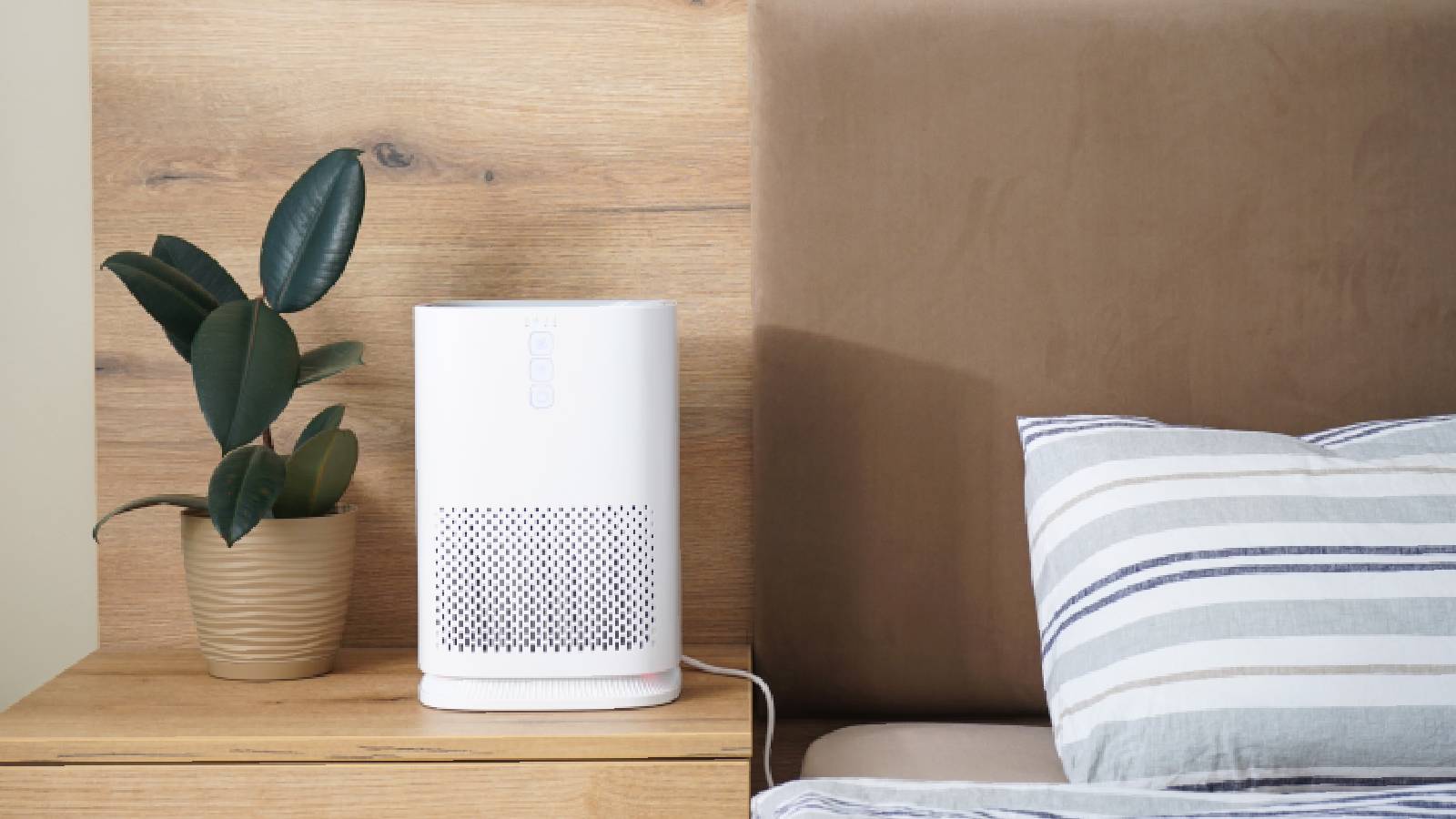 Best Honeywell air purifiers: 7 top picks for cleaner indoor air