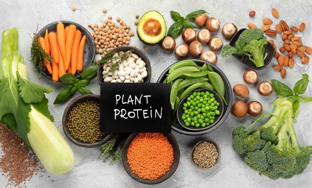 7 benefits of plant protein and its sources