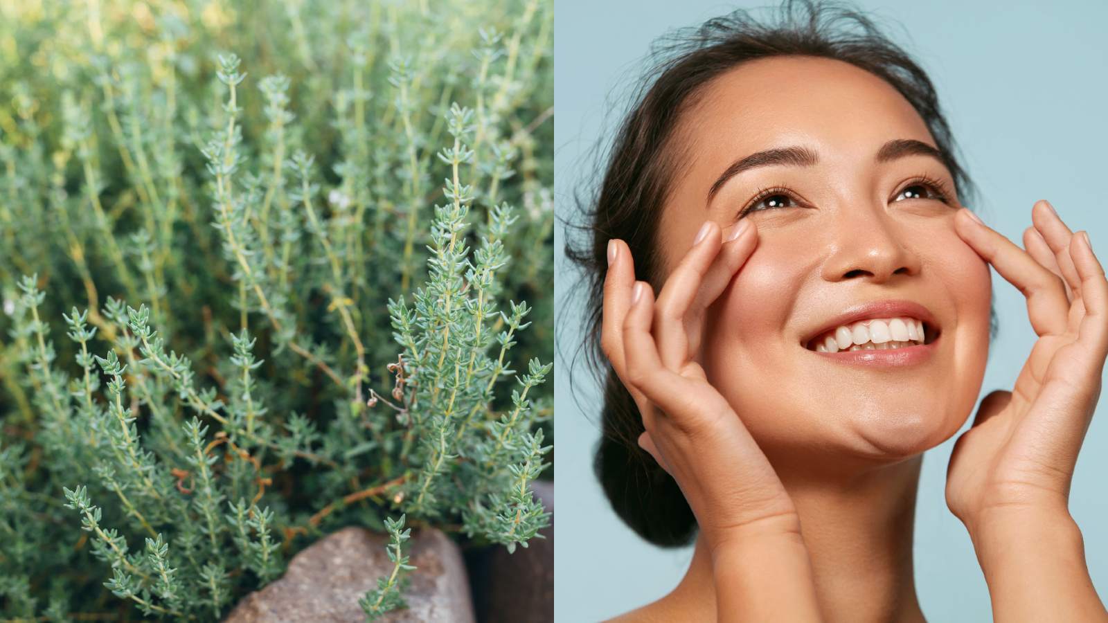 5 benefits of thyme for skin and how to use it