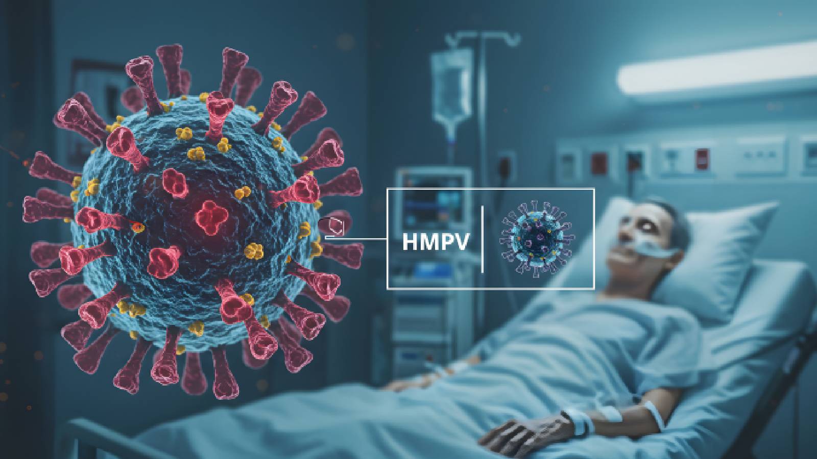 Is there a link between hMPV and kidney health?